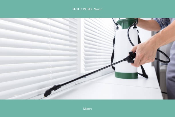 PEST CONTROL Mason